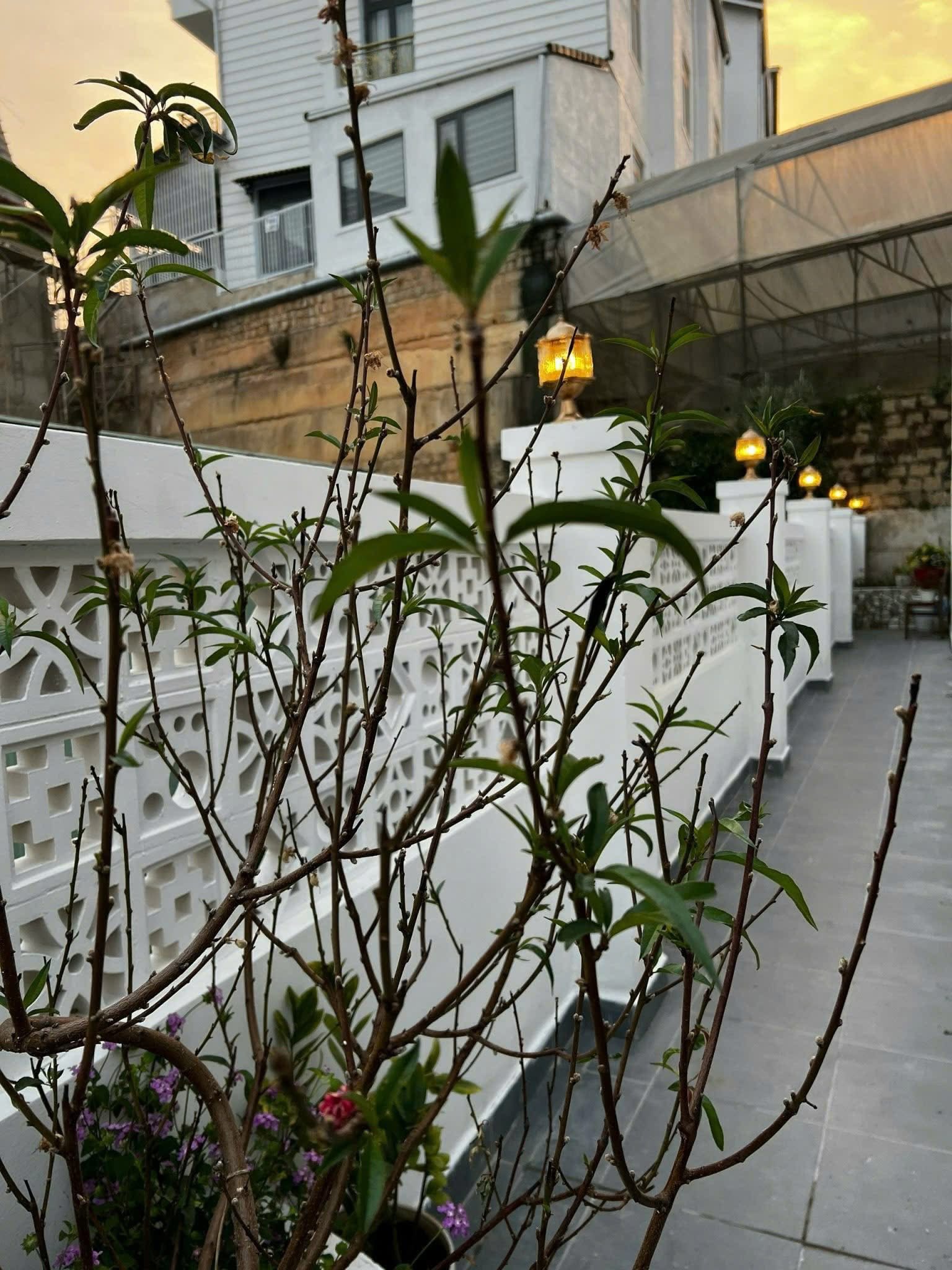 Cần Tiền Bán Gấp Nhà Đẹp Giá Tốt – Đường Nguyễn Đình Quân, P.Cam Ly, Đà Lạt - Ảnh 1